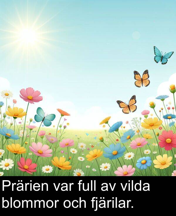 fjärilar: Prärien var full av vilda blommor och fjärilar.