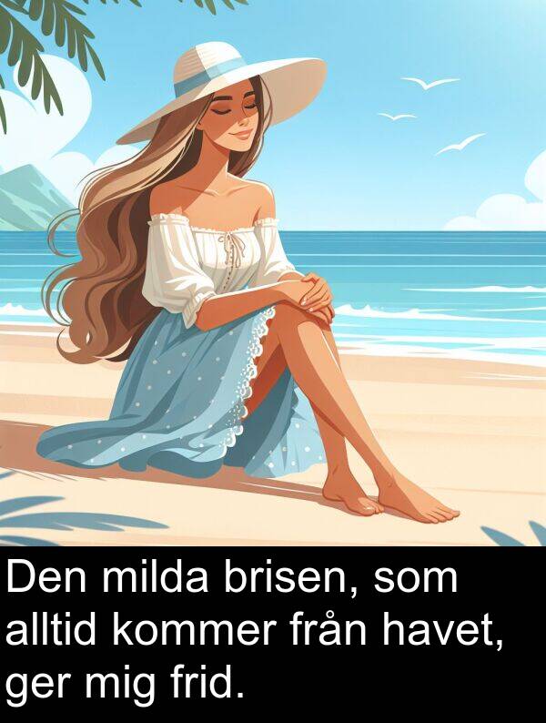 milda: Den milda brisen, som alltid kommer från havet, ger mig frid.