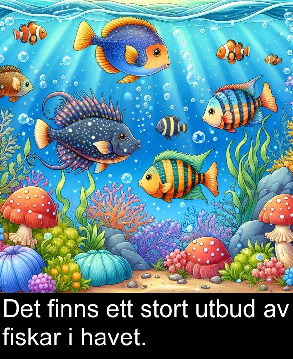 ett: Det finns ett stort utbud av fiskar i havet.