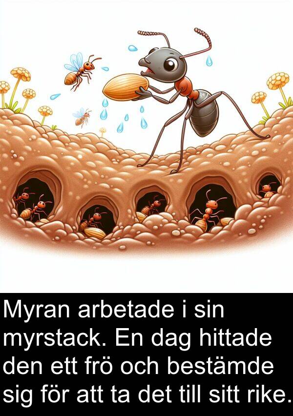 dag: Myran arbetade i sin myrstack. En dag hittade den ett frö och bestämde sig för att ta det till sitt rike.