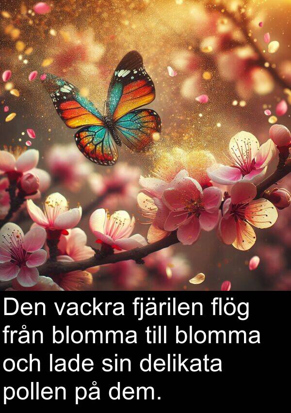 lade: Den vackra fjärilen flög från blomma till blomma och lade sin delikata pollen på dem.