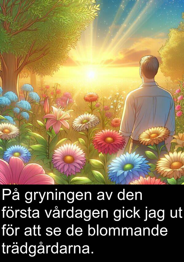 gryningen: På gryningen av den första vårdagen gick jag ut för att se de blommande trädgårdarna.