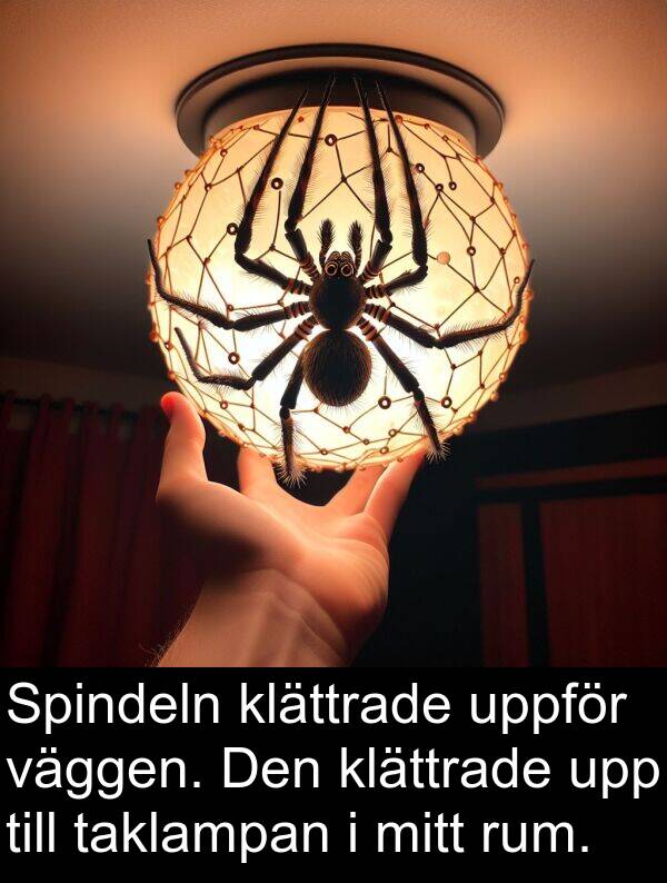 väggen: Spindeln klättrade uppför väggen. Den klättrade upp till taklampan i mitt rum.