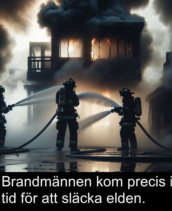 elden: Brandmännen kom precis i tid för att släcka elden.