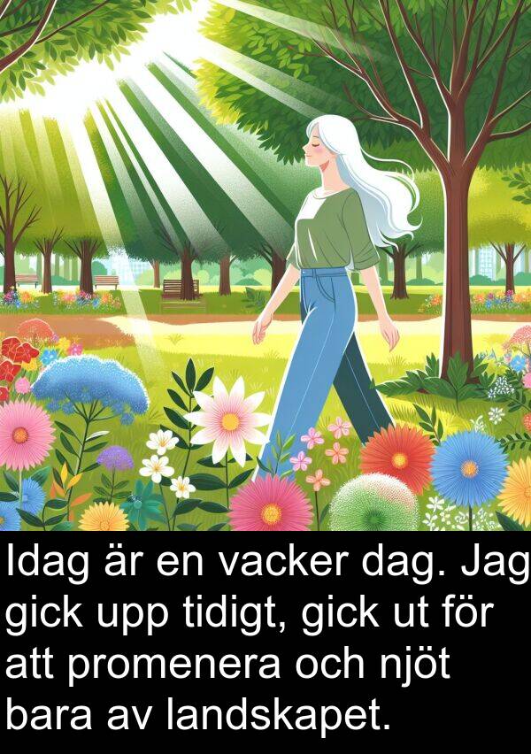 landskapet: Idag är en vacker dag. Jag gick upp tidigt, gick ut för att promenera och njöt bara av landskapet.