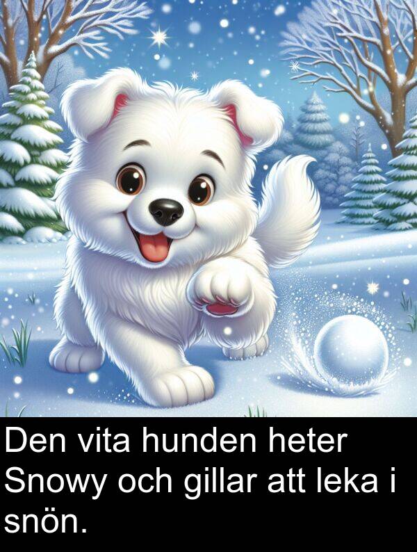 gillar: Den vita hunden heter Snowy och gillar att leka i snön.