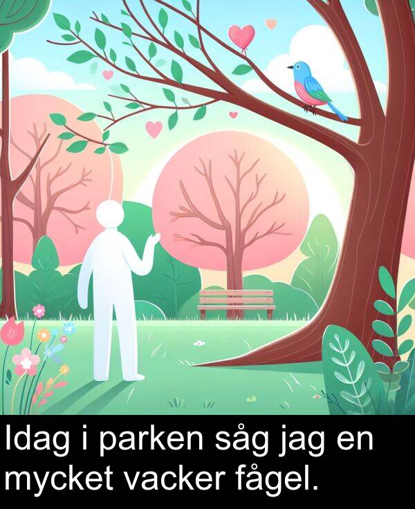 vacker: Idag i parken såg jag en mycket vacker fågel.