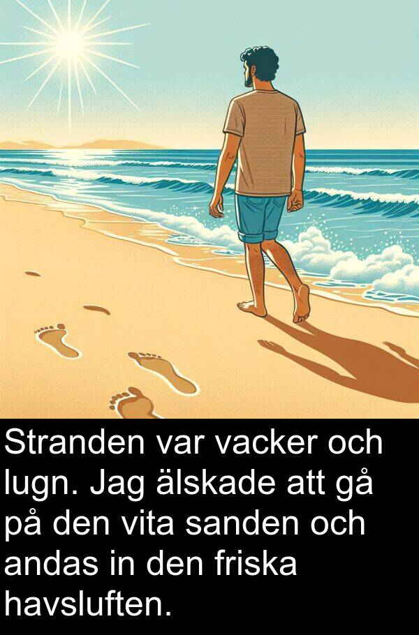 älskade: Stranden var vacker och lugn. Jag älskade att gå på den vita sanden och andas in den friska havsluften.