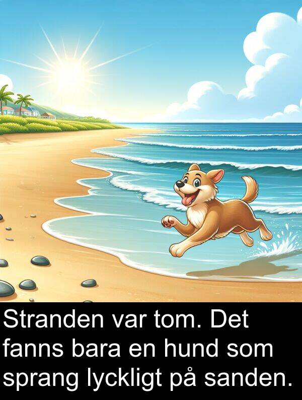 fanns: Stranden var tom. Det fanns bara en hund som sprang lyckligt på sanden.