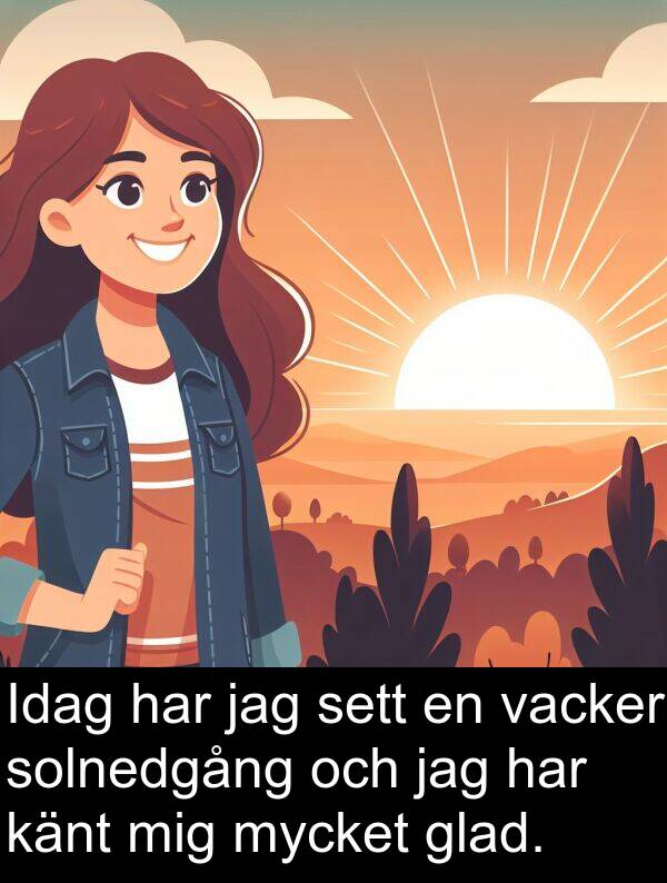 vacker: Idag har jag sett en vacker solnedgång och jag har känt mig mycket glad.