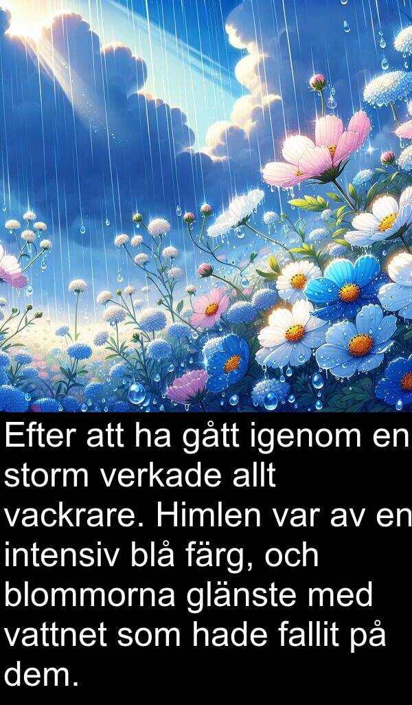 gått: Efter att ha gått igenom en storm verkade allt vackrare. Himlen var av en intensiv blå färg, och blommorna glänste med vattnet som hade fallit på dem.