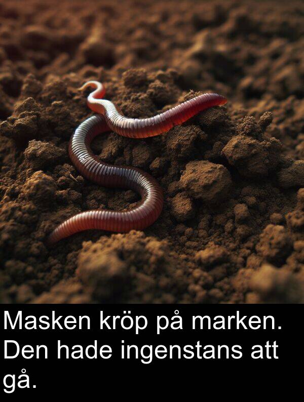 hade: Masken kröp på marken. Den hade ingenstans att gå.