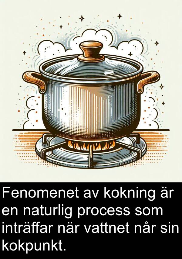 naturlig: Fenomenet av kokning är en naturlig process som inträffar när vattnet når sin kokpunkt.