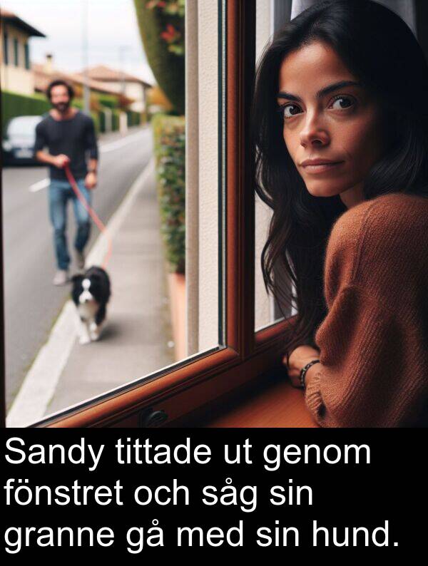 genom: Sandy tittade ut genom fönstret och såg sin granne gå med sin hund.