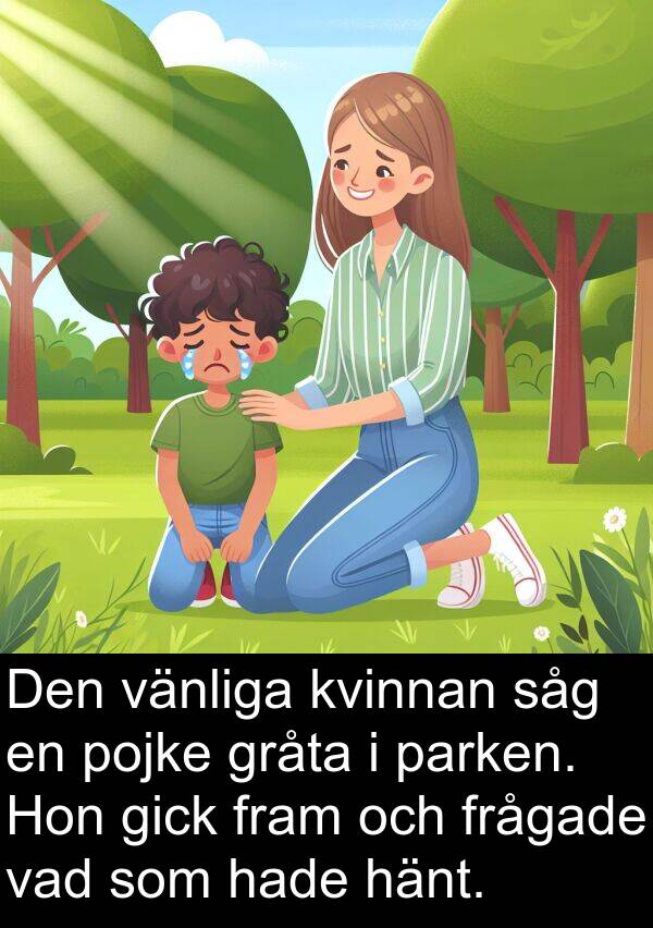 parken: Den vänliga kvinnan såg en pojke gråta i parken. Hon gick fram och frågade vad som hade hänt.