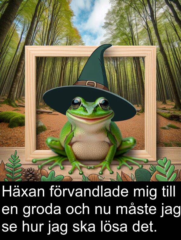 ska: Häxan förvandlade mig till en groda och nu måste jag se hur jag ska lösa det.