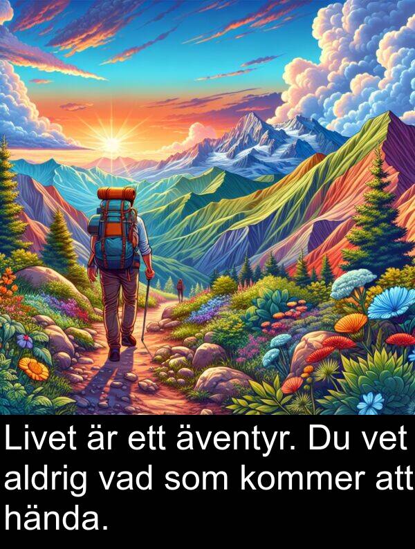 äventyr: Livet är ett äventyr. Du vet aldrig vad som kommer att hända.