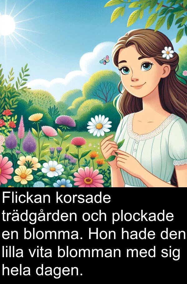 dagen: Flickan korsade trädgården och plockade en blomma. Hon hade den lilla vita blomman med sig hela dagen.