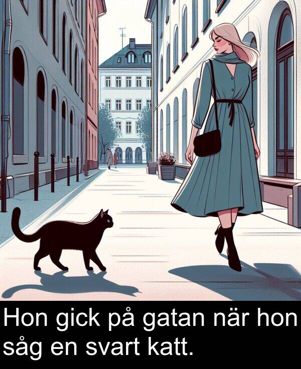 såg: Hon gick på gatan när hon såg en svart katt.