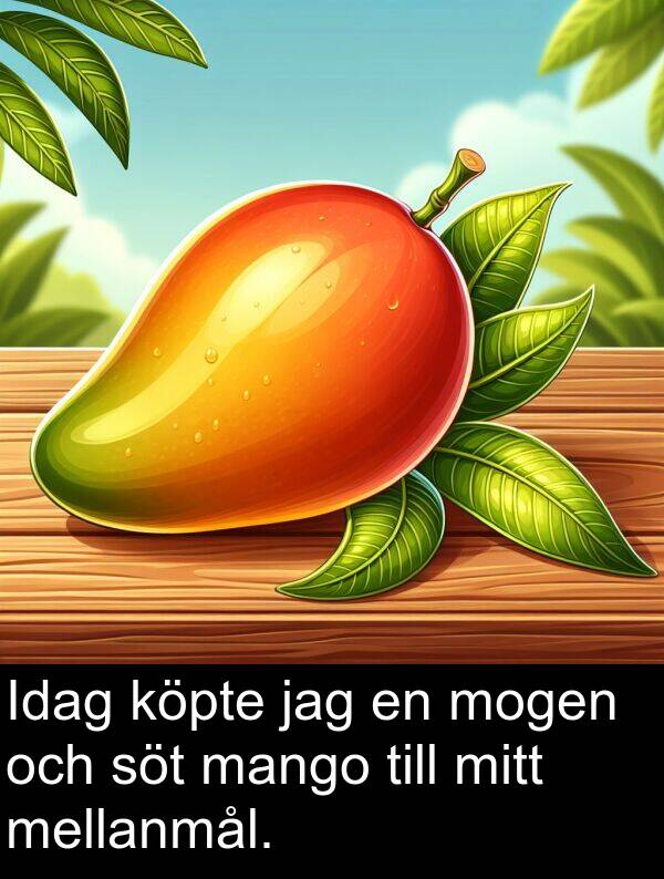 köpte: Idag köpte jag en mogen och söt mango till mitt mellanmål.