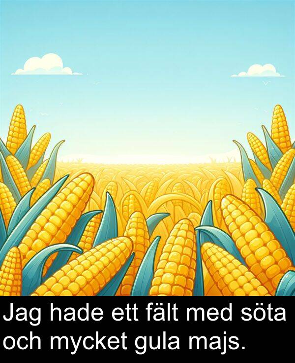 hade: Jag hade ett fält med söta och mycket gula majs.