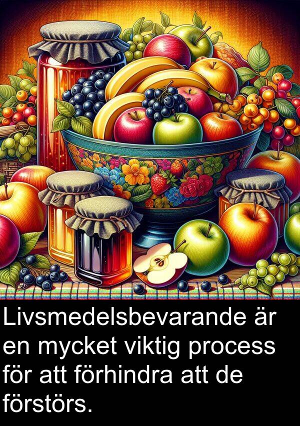 förstörs: Livsmedelsbevarande är en mycket viktig process för att förhindra att de förstörs.