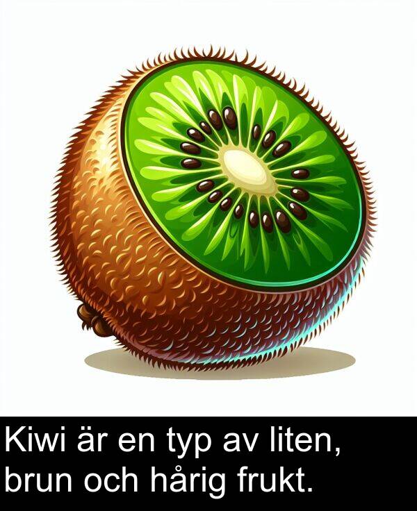 hårig: Kiwi är en typ av liten, brun och hårig frukt.