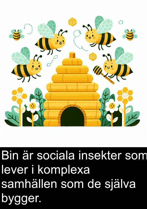 samhällen: Bin är sociala insekter som lever i komplexa samhällen som de själva bygger.