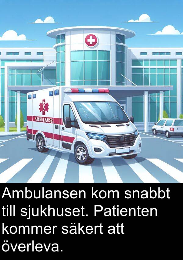 säkert: Ambulansen kom snabbt till sjukhuset. Patienten kommer säkert att överleva.