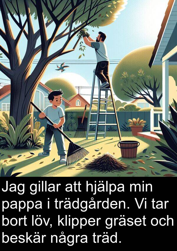 pappa: Jag gillar att hjälpa min pappa i trädgården. Vi tar bort löv, klipper gräset och beskär några träd.