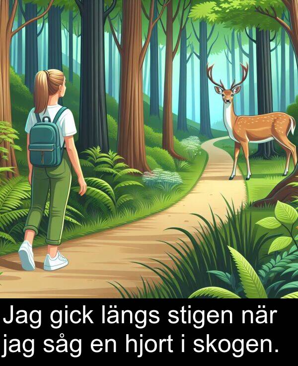 såg: Jag gick längs stigen när jag såg en hjort i skogen.