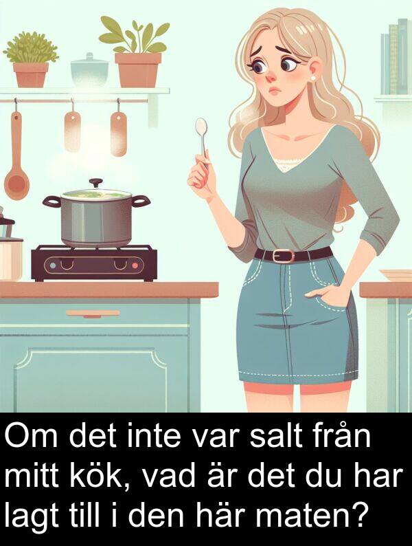 salt: Om det inte var salt från mitt kök, vad är det du har lagt till i den här maten?