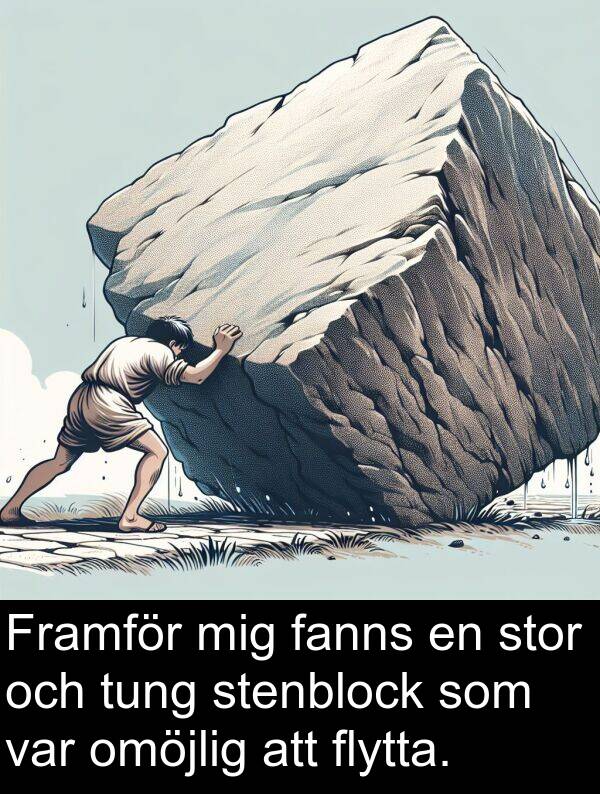 fanns: Framför mig fanns en stor och tung stenblock som var omöjlig att flytta.