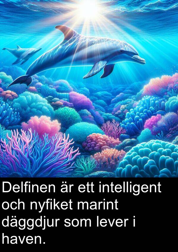 däggdjur: Delfinen är ett intelligent och nyfiket marint däggdjur som lever i haven.