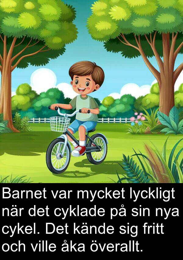 kände: Barnet var mycket lyckligt när det cyklade på sin nya cykel. Det kände sig fritt och ville åka överallt.