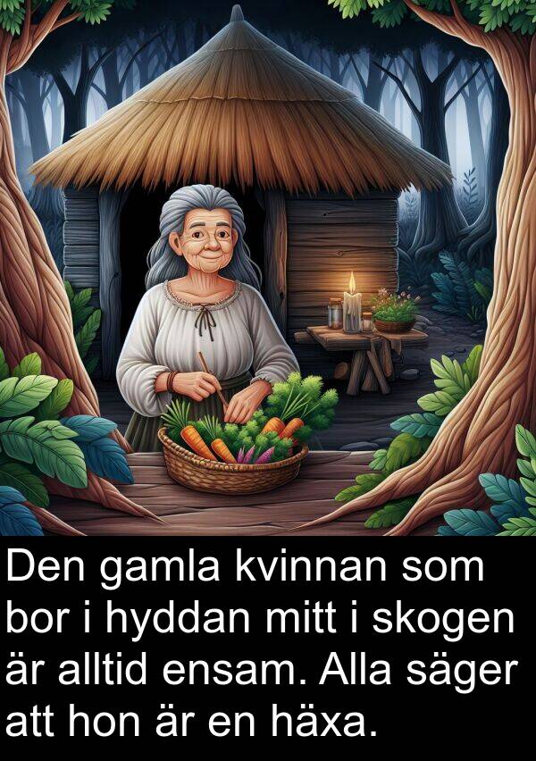 säger: Den gamla kvinnan som bor i hyddan mitt i skogen är alltid ensam. Alla säger att hon är en häxa.