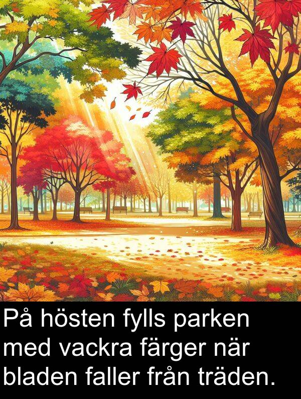 parken: På hösten fylls parken med vackra färger när bladen faller från träden.