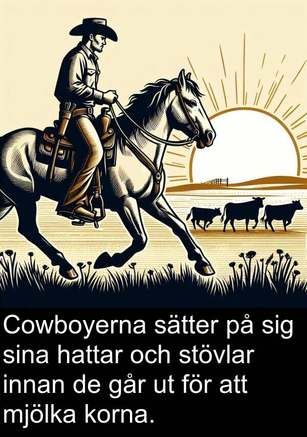 går: Cowboyerna sätter på sig sina hattar och stövlar innan de går ut för att mjölka korna.