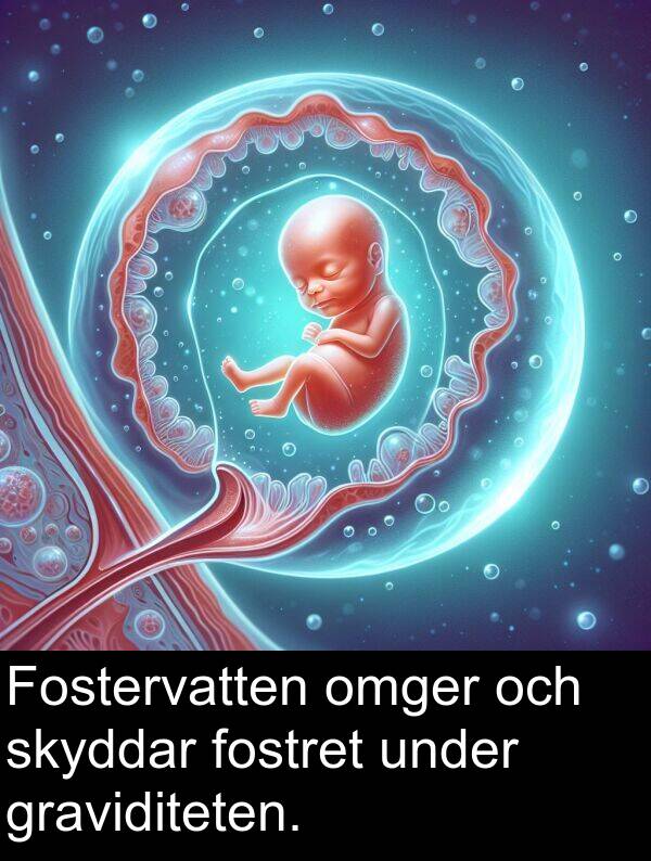 under: Fostervatten omger och skyddar fostret under graviditeten.