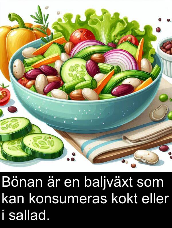 sallad: Bönan är en baljväxt som kan konsumeras kokt eller i sallad.