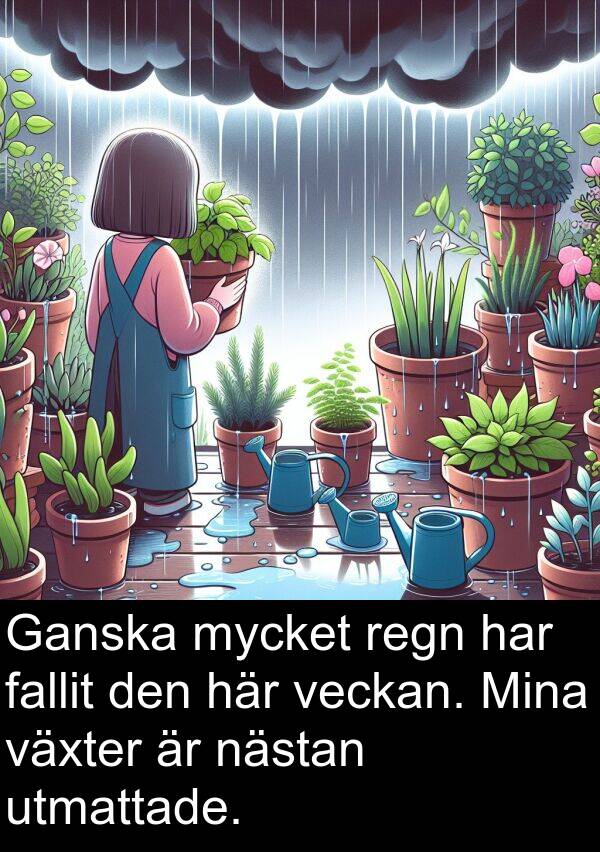 fallit: Ganska mycket regn har fallit den här veckan. Mina växter är nästan utmattade.