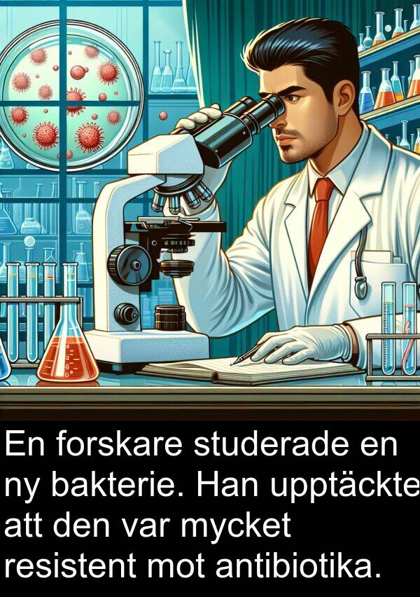 bakterie: En forskare studerade en ny bakterie. Han upptäckte att den var mycket resistent mot antibiotika.