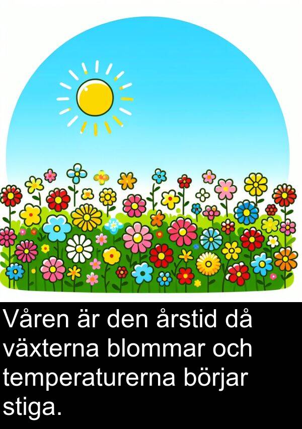 temperaturerna: Våren är den årstid då växterna blommar och temperaturerna börjar stiga.