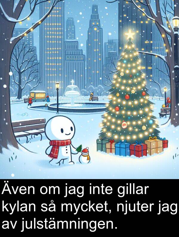 julstämningen: Även om jag inte gillar kylan så mycket, njuter jag av julstämningen.