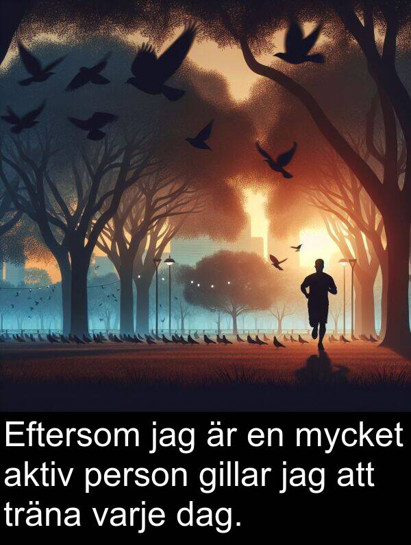 aktiv: Eftersom jag är en mycket aktiv person gillar jag att träna varje dag.