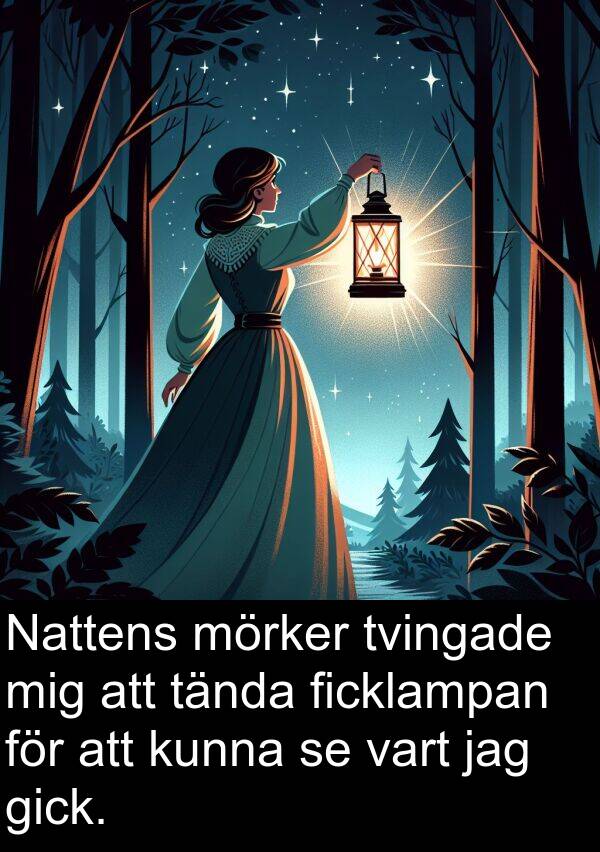 tända: Nattens mörker tvingade mig att tända ficklampan för att kunna se vart jag gick.