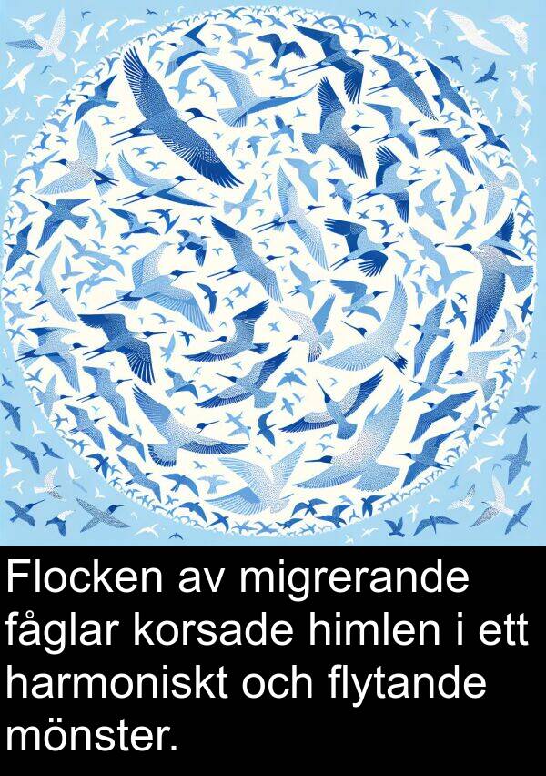 fåglar: Flocken av migrerande fåglar korsade himlen i ett harmoniskt och flytande mönster.