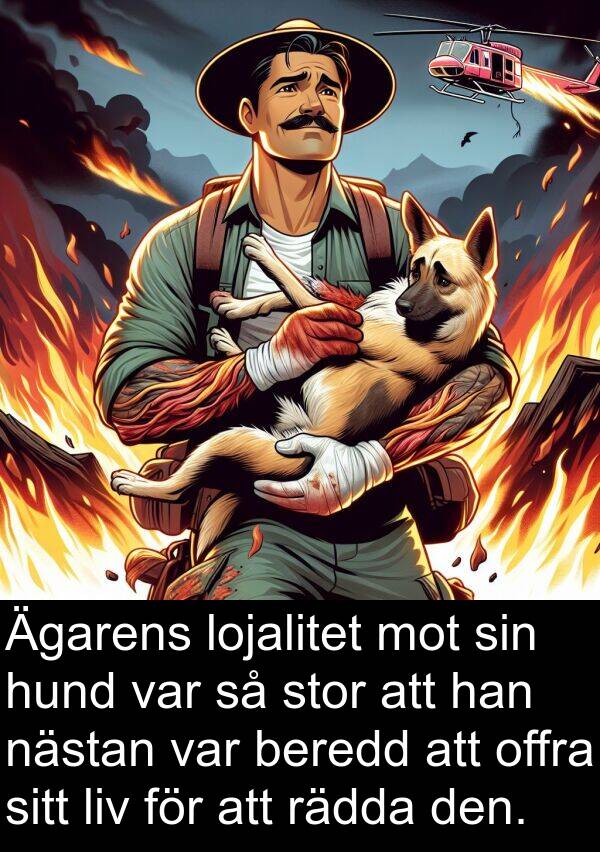 rädda: Ägarens lojalitet mot sin hund var så stor att han nästan var beredd att offra sitt liv för att rädda den.