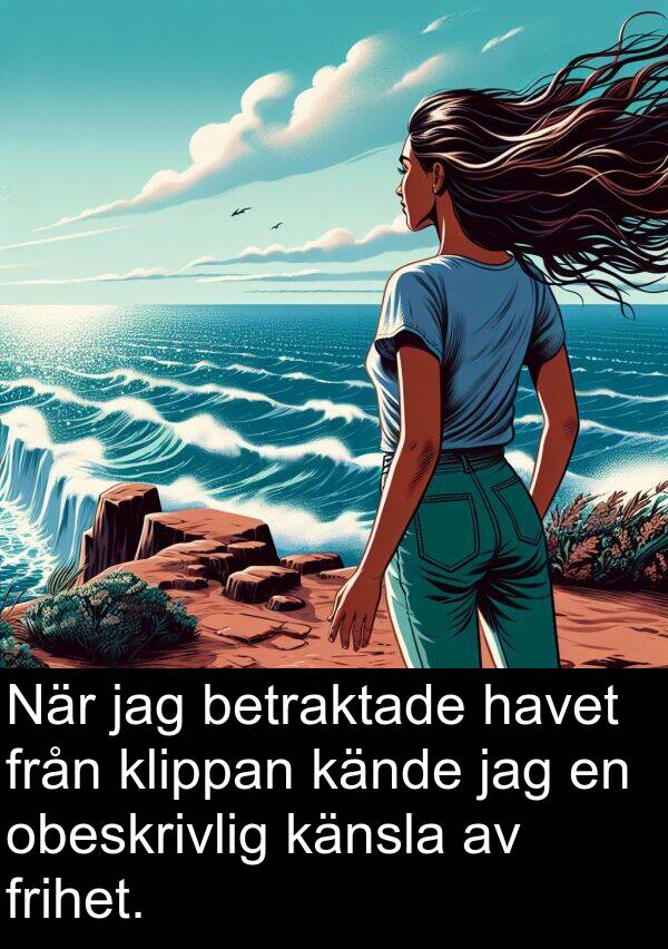 kände: När jag betraktade havet från klippan kände jag en obeskrivlig känsla av frihet.