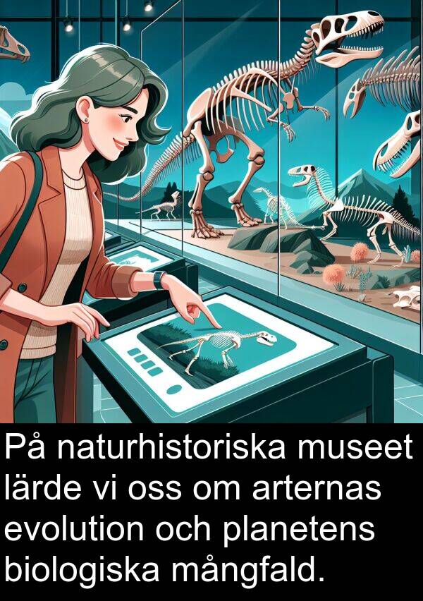 mångfald: På naturhistoriska museet lärde vi oss om arternas evolution och planetens biologiska mångfald.